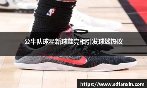公牛队球星新球鞋亮相引发球迷热议