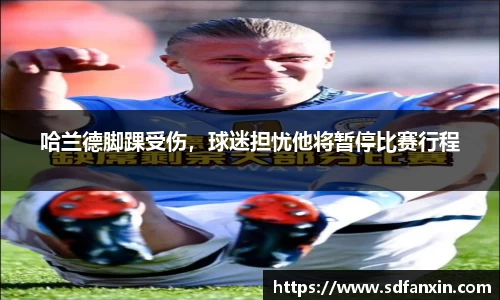 万向娱乐