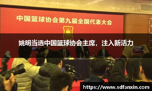 万向娱乐